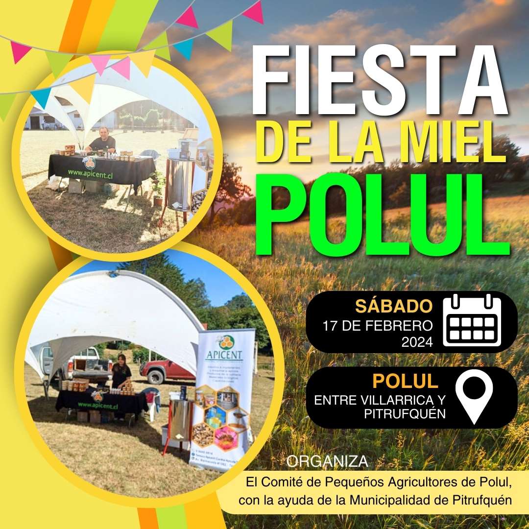 Feria: Fiesta de la Miel Polul 2024