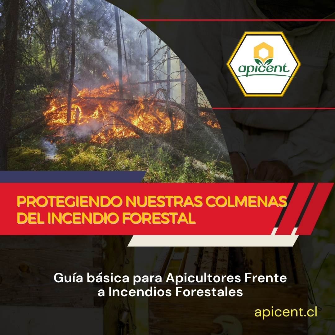 Protegiendo nuestras colmenas del incendio forestal