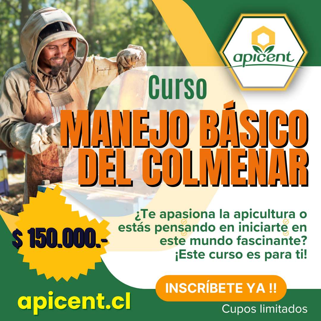 Curso intensivo de manejo básico del colmenar en Temuco. ¡Inscríbete ya!